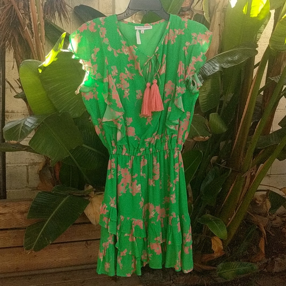 Karina Grimaldi Rafa Ruffle Mini Dress